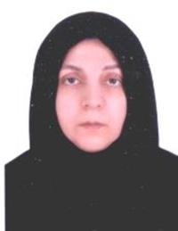 آریا حسینی