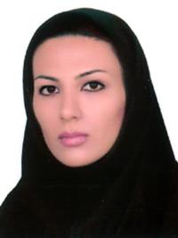 705d6e68-d337-11ee-b968-0242ac190002