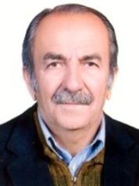 احمد دیاقی