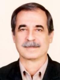 احمد هانی طبائی زواره