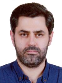 امیرحسین گل محمدی خامنه
