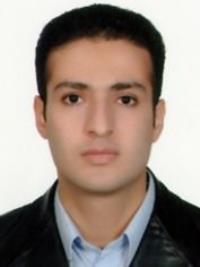 امیر مولانائی