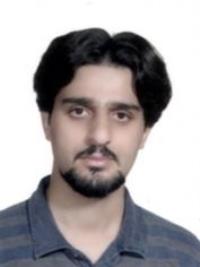 امین ممیزی