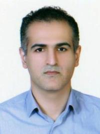 حسین حسن نیا