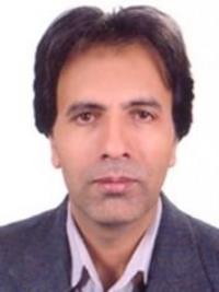 حمید شاهی