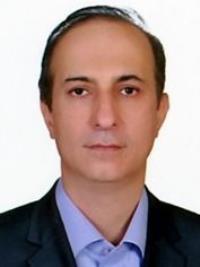 حمید شاه نظری