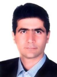 حمید میرزائی
