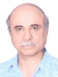 داود نوروزی زارع