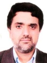 دکتر سید حمزه حسینی