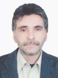 دکتر محمدرضا مصطفوی