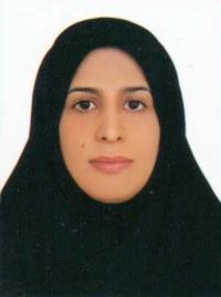 دکتر مهرزاد برقی کار