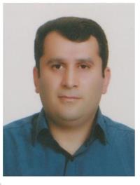 رامین امامی