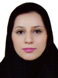 رزا مصطفوی طباطبائی