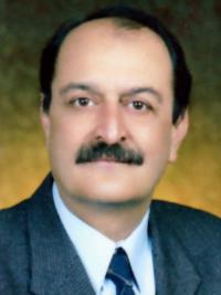 رضا علیم مروستی
