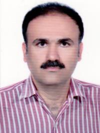 رضا محمدعلی پور