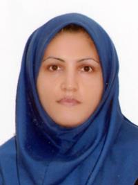 040573c5-d2d0-11ee-b968-0242ac190002