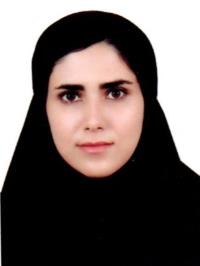 2896c4fc-d322-11ee-b968-0242ac190002