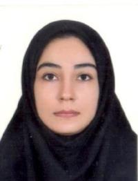 f11edf5e-d338-11ee-b968-0242ac190002