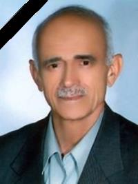 سیدحسن صفوی نیا