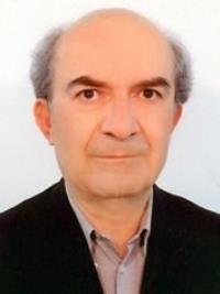 سیدحسین میرمجلسی