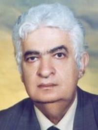 سیدضیاءالدین عمادی