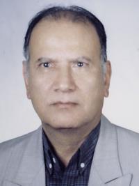 سیدعزیزالدین یحیوی فیروزآبادی