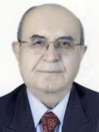 سیدعلی مرعشی نژاد
