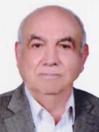 سیدمحمدرضا فیض