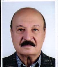 سیدمصطفی سیف