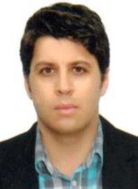 سیدمهدی میرتاج الدینی