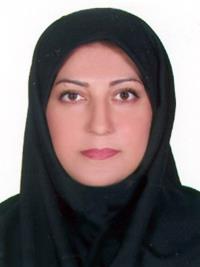 شادی دبیرزاده