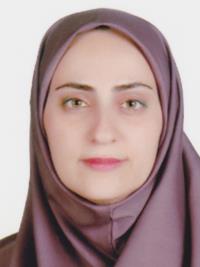 90b2ecdc-d2eb-11ee-b968-0242ac190002