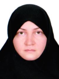 شهزاد غلامی حسن آبادی