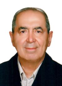 صادق ربیعی جاه