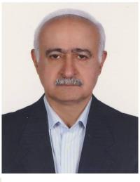 علی صائب گیلانی