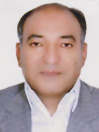 غلامرضا انارکی محمدی