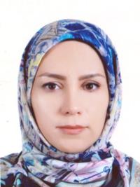 مجاهده سلمانی ندوشن