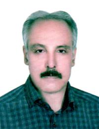 محسن نامجوباغینی