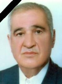 محمدرضا داودی