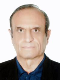 محمدرضا میناگر