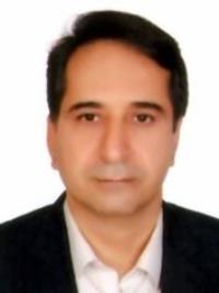 محمدرضا ولی پوری