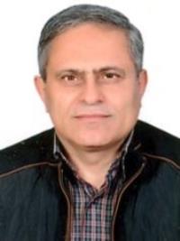 محمد اصغری قراخیلی