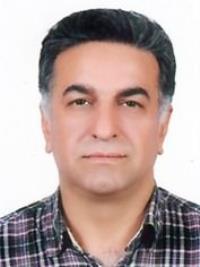 محمد دهقانی محمدآبادی