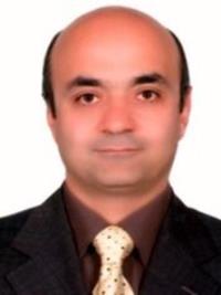 محمود الهوئی نظری