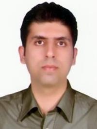 مصطفی فرزین