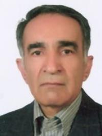 مهدی سالمی