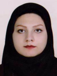 مهروز امیرحیدری