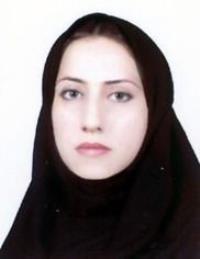 51e0430b-d2e3-11ee-b968-0242ac190002