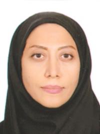 d187ef3c-d303-11ee-b968-0242ac190002