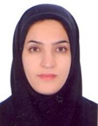 مژگان مهدی زاده تزنکی